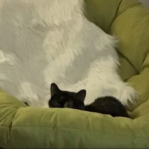 Meet your Posher, Michelle